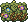 Cena 3x2 de Flores da Floresta Tropical