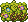Pintura 4 de Flores da Floresta Tropical