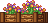 Cena de Canteiro de Flores