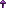 Cena de Cogumelo Roxo Brilhante