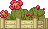 Cena de Canteiro de Flores de Cacto
