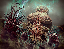 Cena de Horda