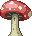 Cena de Cogumelo Agaran Gigante