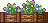 Cena de Canteiro de Flores