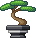 Cena de Árvore Bonsai