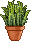 Cena de Planta em Vaso Grama